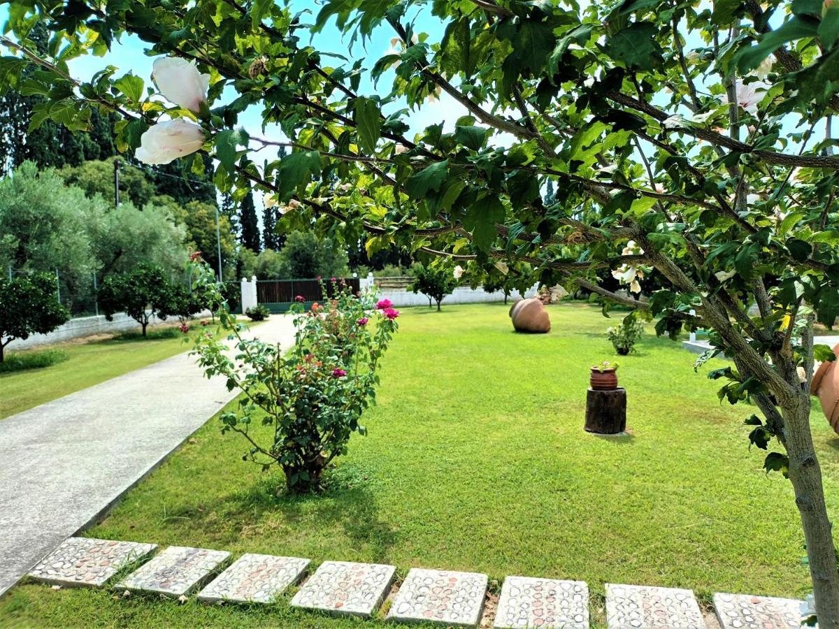 Villa Zenia Pelion Garden House Platanidia Exterior foto